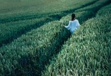 Agri-Women farm tour focuses on sustainability