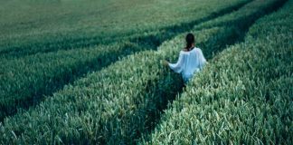 Agri-Women farm tour focuses on sustainability