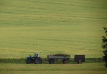 FSA to hold county committee elections