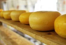 Pa. wants to hear your thoughts on raw milk cheese cheese