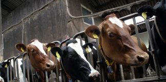 September training covers FSMA for feed processors