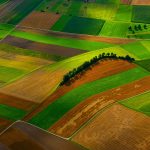 Agriculture’s dark ‘green’ future