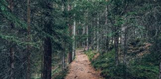 Wayne County’s Tom Bahl receives Ohio Horseman’s Council award