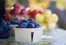 40 foods to enjoy as summer fades to fall