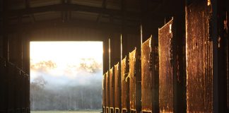 Dust in livestock facilities: Sweat the small stuff