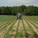 Ag barometer finds farmers more optimistic about market prices