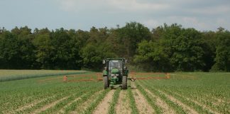 Ag barometer finds farmers more optimistic about market prices