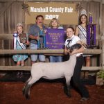 Marshall County Fair sale over $200,000 grand champion lamb