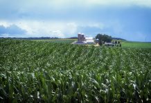 Pennsylvania adds 30 farms to preservation program Pennsylvania farmland