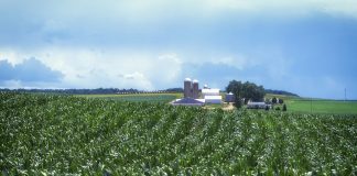 Pennsylvania farmland
