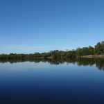 Lost bird rediscovered in the jungle of Venezuela