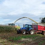 There’s one chance to nail corn silage harvest silage
