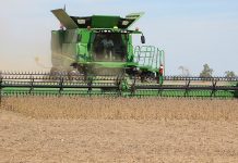 Conditions looking good for soybean harvest soybean harvesting