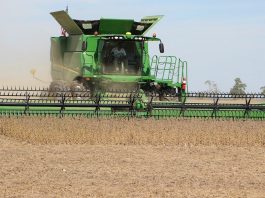 soybean harvesting