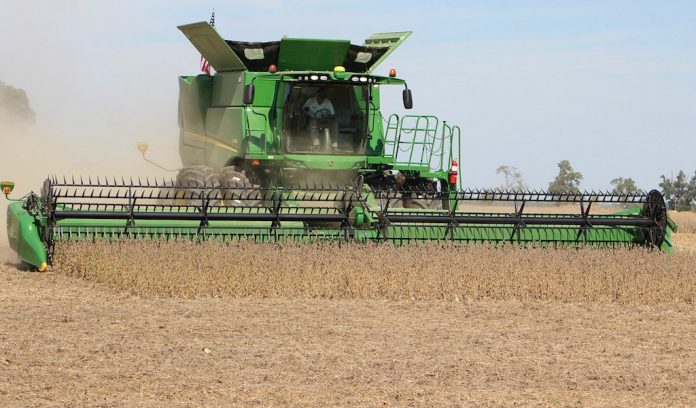 soybean harvesting soybean harvesting