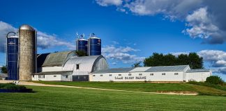 Dairy academy to train managers