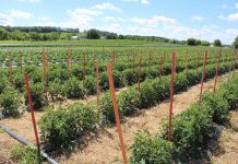 US organic sales up to $7.6 billion 2016 certified organic survey results