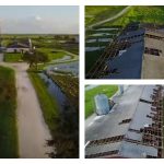 Animal activists still targeting livestock, dairy producers Butler Oaks damage from Irma