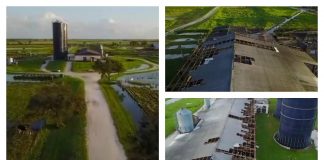 Butler Oaks damage from Irma