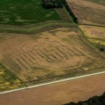 Ohio State logo emerges in FSR cornfield Farm Science Review precision planting