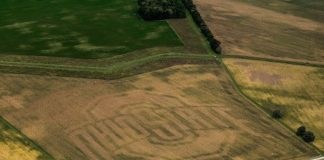 Farm Science Review precision planting