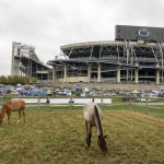 Penn State Quarter Horse sale, equine showcase April 27 Penn State Horse Barn