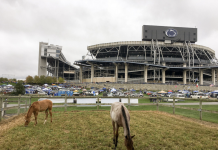 Hands-on learning for horse owners Penn State Horse Barn