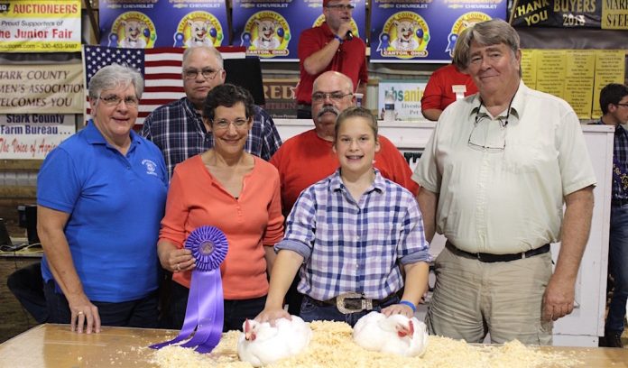 Stark grand chickens