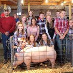 Stark fair rallies to support Harvey victims Texas hog