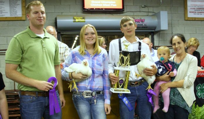 Wayne County junior fair sale