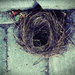 In sickness and in growth