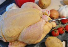 Broiler chicken industry announces welfare program