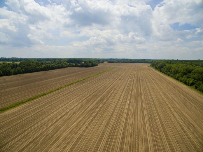 Tilled field Tilled field