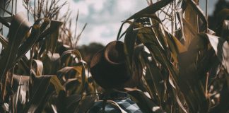 Managing people instead of things