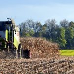 Ask FSA Andy about commodity loans