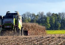 Ask FSA Andy about commodity loans