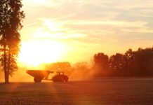 The farm never sleeps harvester