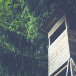 The best place to be is up in a tree Tree stand