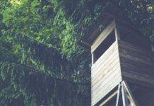 The best place to be is up in a tree Tree stand
