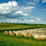 When should a farm become a business entity? Iowa