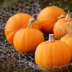 How to give Autumn meals a nutritious boost