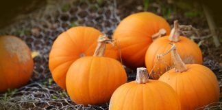 How to give Autumn meals a nutritious boost