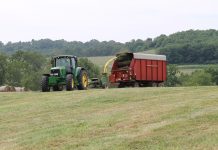 Despite slow start, forage crop rapidly maturing chopping