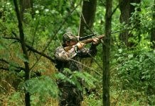 How to control body odor this hunting season