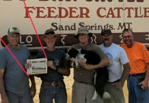 Montana Wildfire Cleanup with Local Farm & Dairy Subscribers
