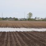 How to prepare fields for unusual rainfall Flooded farm field