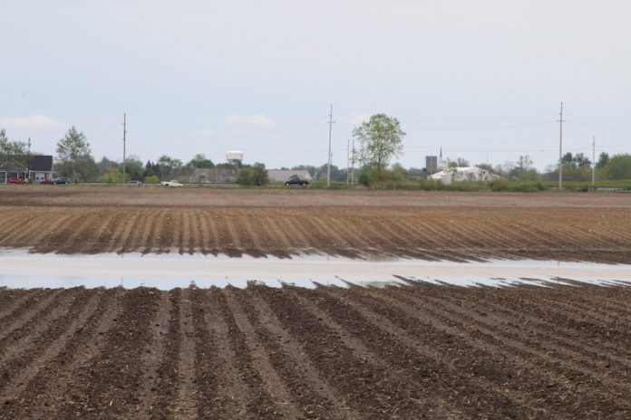Flooded farm field