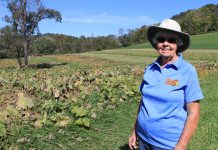 Satisfaction in growing a seed Betty Hickey