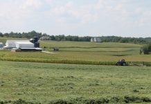 Panelists talk budgets, waste, tax reform Farmland