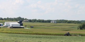 First fix: CRP expansion and reform Farmland